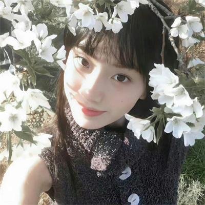 胡桃夹子与四个王国
