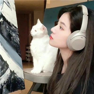 棋魂·通往北斗杯之路